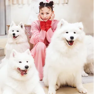 鈴木えみGALLERY_1_14