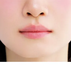 LIP-1