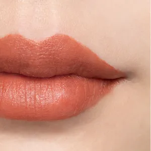 カネボウ　ルージュスターブリーズ B108（Timeless Honor）