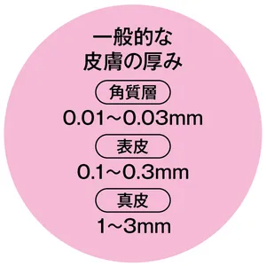 【友利新先生が解説】薄肌の真実 PhotoGallery_1_2