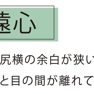 求心　面長　遠心　丸顔　小顔　小顔メイク　メイク