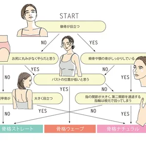 骨格診断チャート