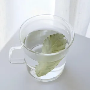 月桂樹（ローリエ）白湯