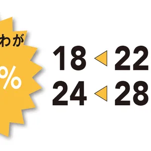 キメ・小じわ　22→18　クマ　28→24　特にキメ・小じわが18.2%改善