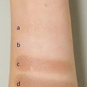 クリスマスコフレ 2025　コスメデコルテ　スキンシャドウ デザイニング パレット ETERNAL BLOOMのスウォッチ