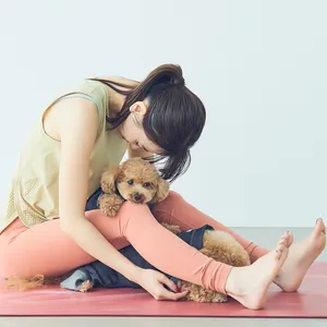 ドッグヨガ　杖のポーズからの前屈③