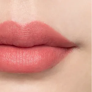 カネボウ　ルージュスターブリーズ B102（Blissful Breath）