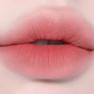 PK02 スカート リップ