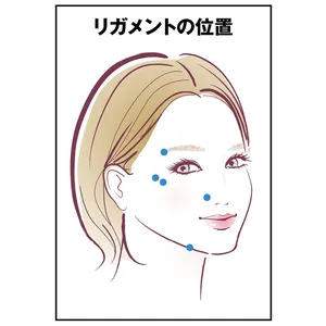 最新美容医療 ヒアルロン酸注入 リガメントの位置