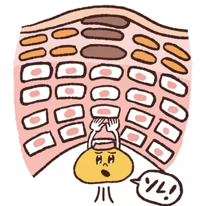 【最新】毛穴、角質ケアの最前線 PhotoGallery_1_7