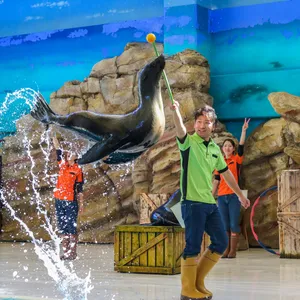 鳥羽水族館 アシカショー 三重県