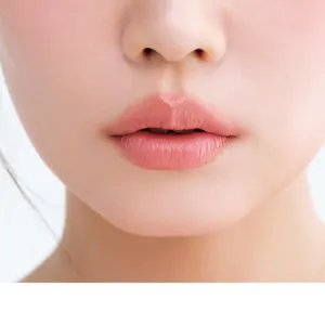 LIP-2