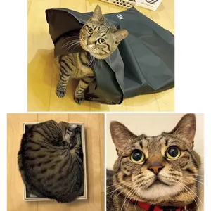 中野明海さん直伝！多幸感メイクの秘密 PhotoGallery_1_57