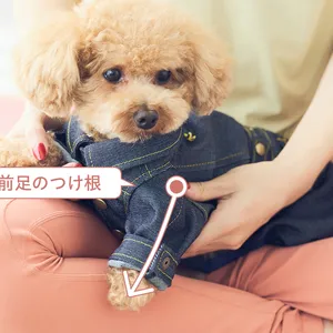 ドッグマッサージ　筋肉を緩める前足マッサージ①