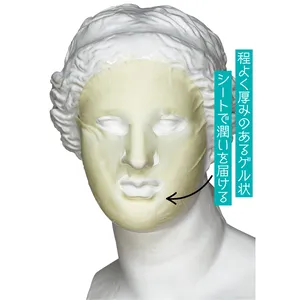 レチノール PDRN アドバンスド マスク