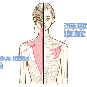 図解イラスト