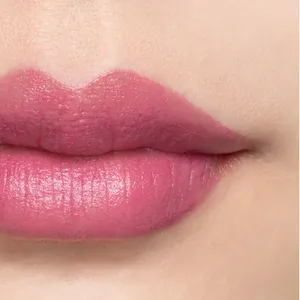 カネボウ　ルージュスターブリーズ EX2（Spring Has Come）