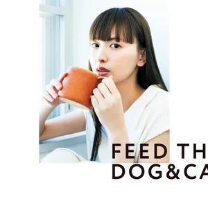 FEED THE DOG&CATS