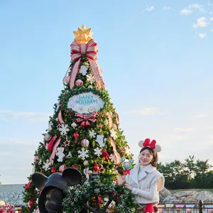 東京ディズニーシー クリスマス 千葉由佳 ちばゆか