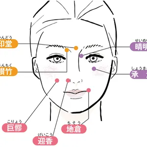 顔の反射区 第2の地図 顔ツボ