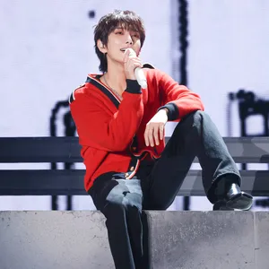 SEVENTEEN セブンティーン　ライブレポート　ソロ　JOSHUA　Fortunate Change　