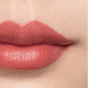 カネボウ　ルージュスターブリーズ B101（Clove Warm）