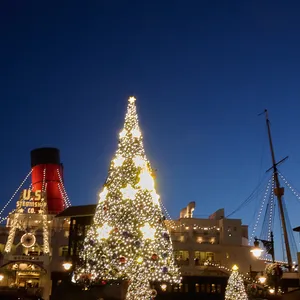 東京ディズニーシー クリスマスツリー 夜景