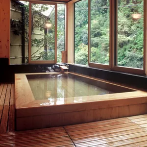 和歌山県・日本三美人の湯「龍神温泉  上御殿」