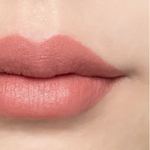 カネボウ　ルージュスターブリーズ B106（Raw Rose Bud）