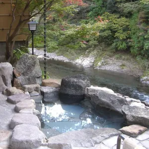 和歌山県・日本三美人の湯「龍神温泉  上御殿」