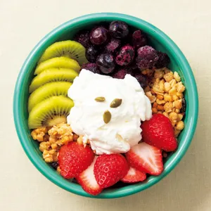 ファン急増中のグリークヨーグルトを大調査！ 注目ショップ&お家で作れる簡単レシピを紹介