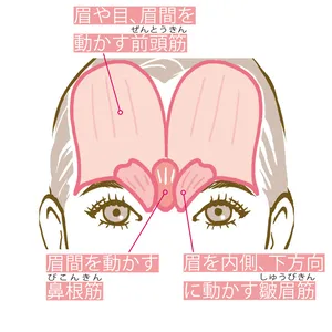 おでこの老廃物とモリッと眉を解消