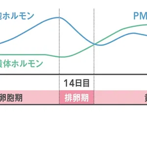 生理周期のリズムで変わる体、心、肌の調子